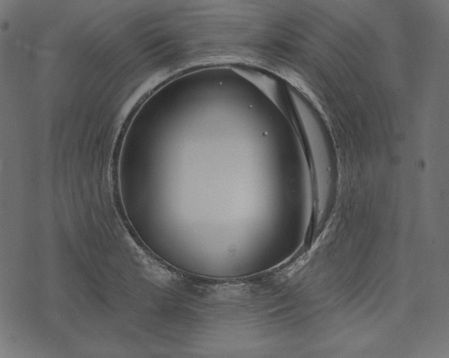 X0000073741181200608171258