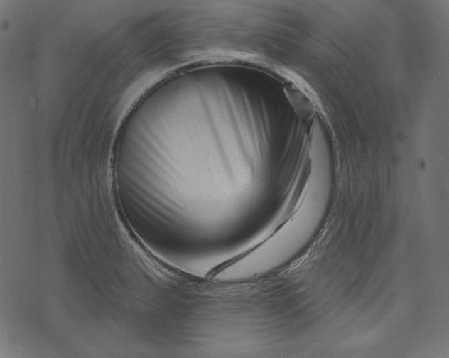 X0000073741183200608171258