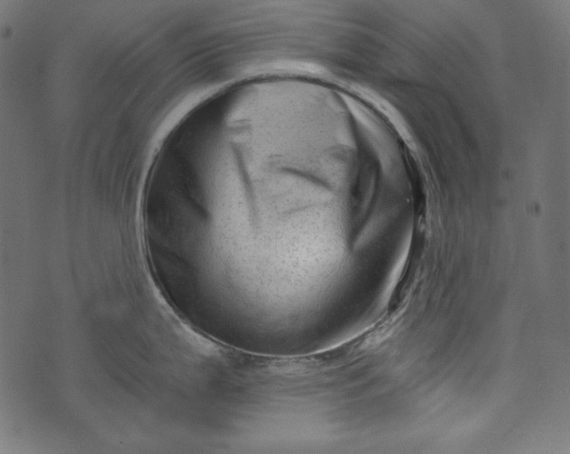 X0000073741199200608171258
