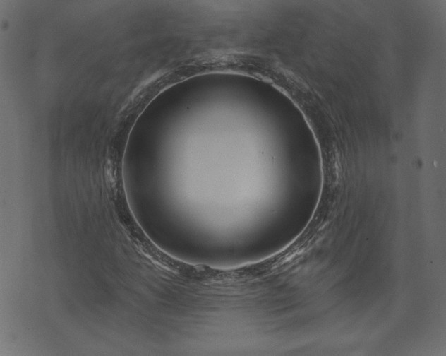 X0000073741206200608171257