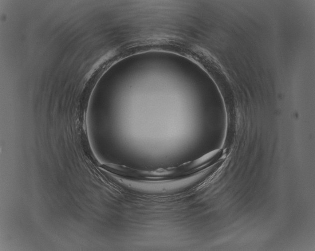 X0000073741210200608171257