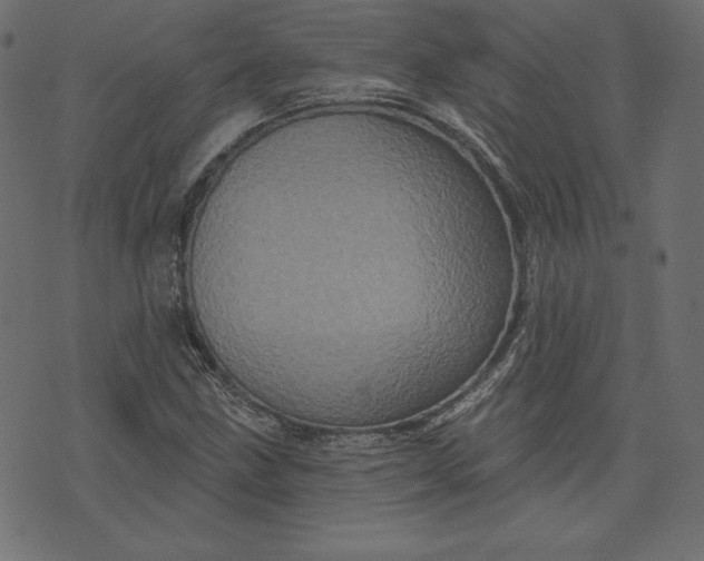 X0000073741211200608171257