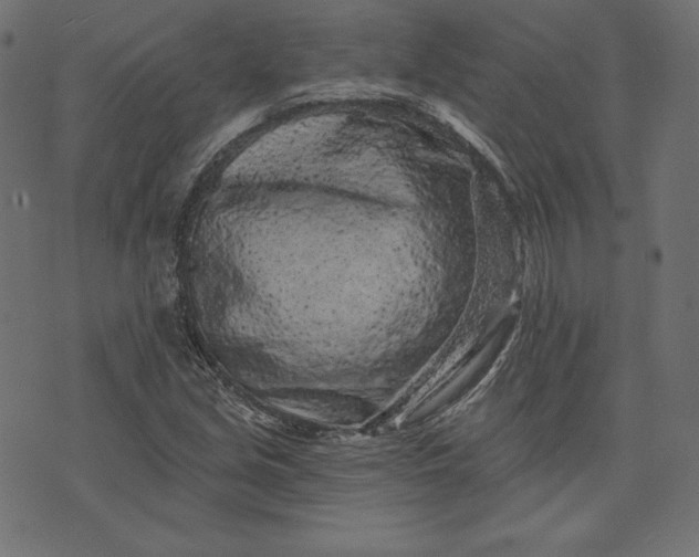 X0000073741213200608171257