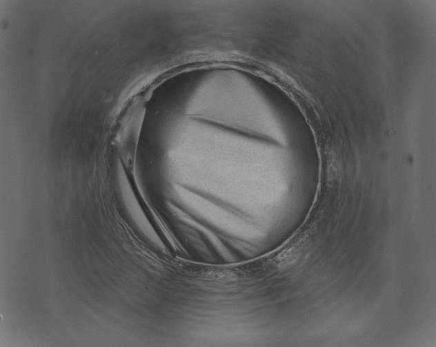 X0000073741215200608171257
