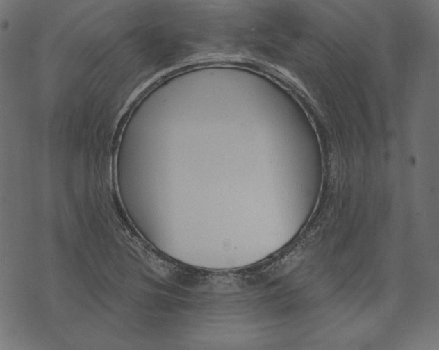 X0000073741220200608171257