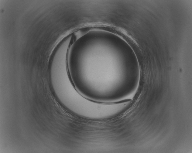 X0000073741221200608171257