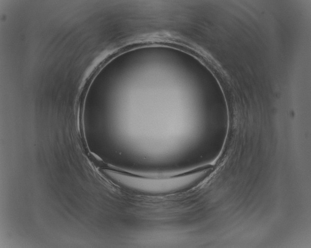 X0000073741224200608171258