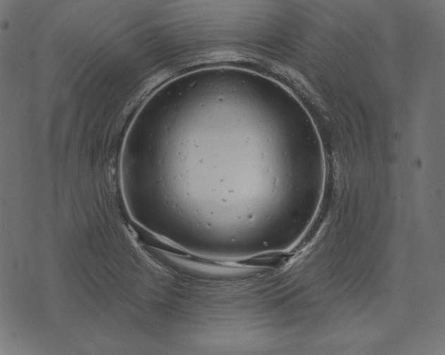 X0000073741225200608171258