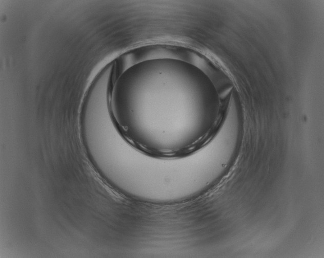 X0000073741230200608171258