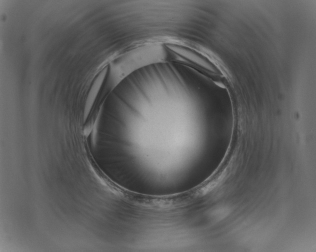 X0000073741241200608171258