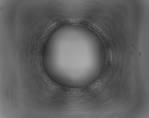 X0000073741249200608171257