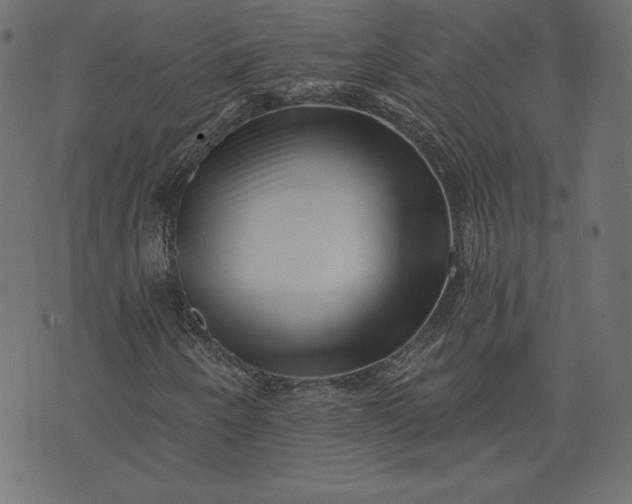 X0000073741250200608171257