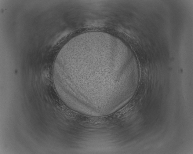 X0000073741254200608171257