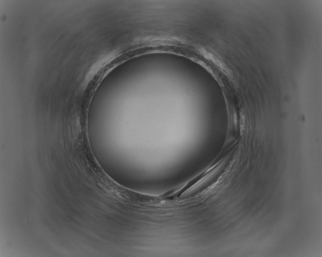 X0000073741261200608171257