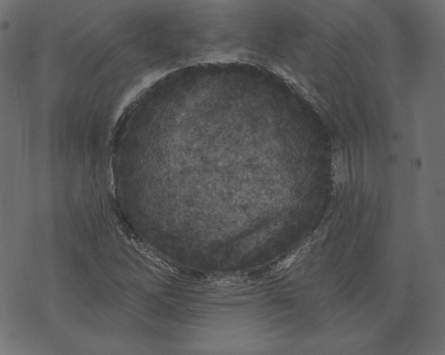 X0000073741262200608171257