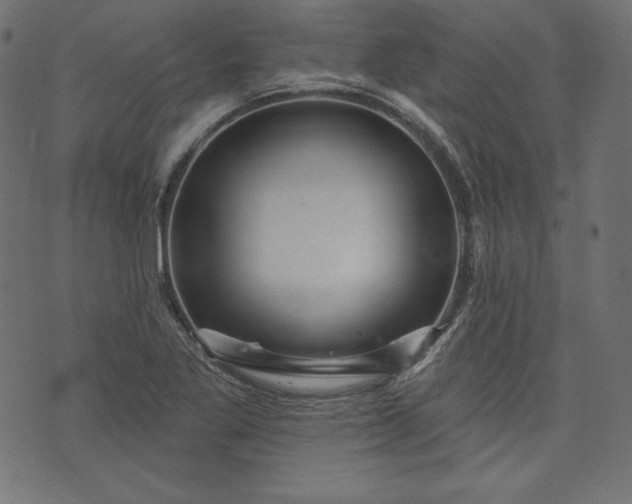 X0000073741269200608171257