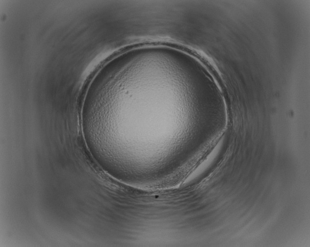 X0000073741271200608171257
