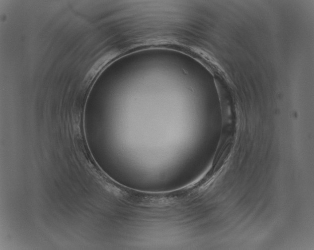X0000073741273200608171257