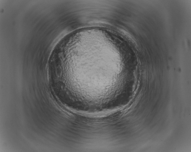 X0000073741275200608171257