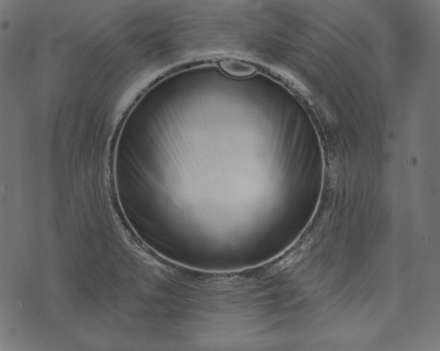X0000073741279200608171257