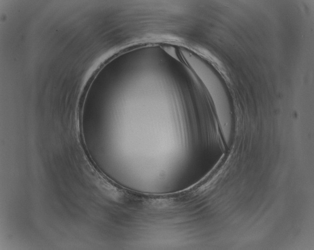 X0000073741280200608171257