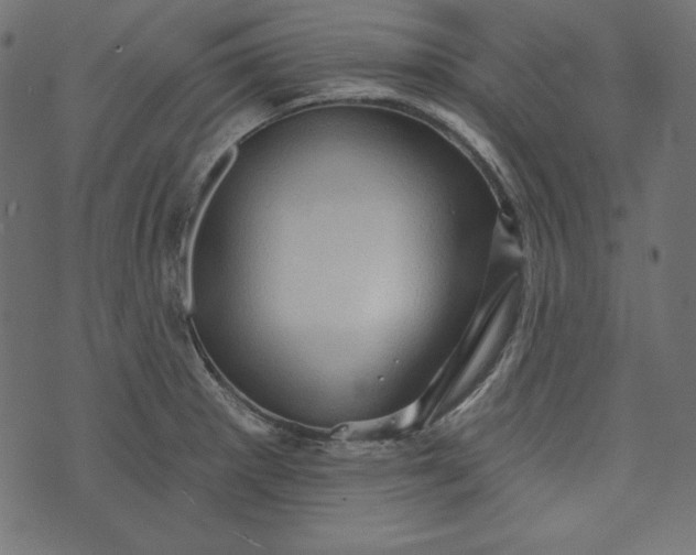 X0000073741281200608171257