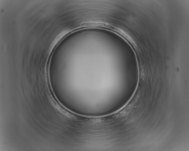 X0000073741283200608171257