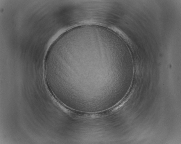 X0000073741286200608171257