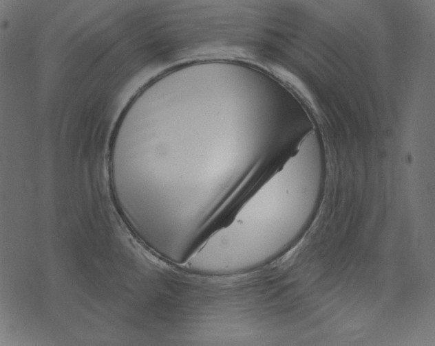 X0000073741288200608171256