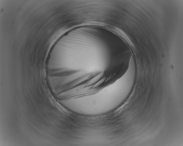 X0000073741292200608171256