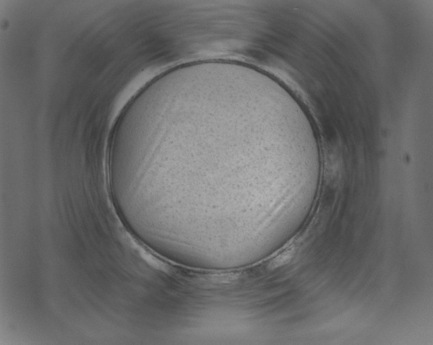 X0000073741294200608171256