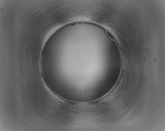X0000073741295200608171256
