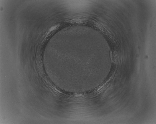 X0000073741297200608171256