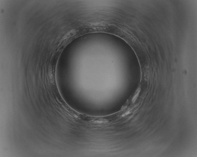 X0000073741298200608171256