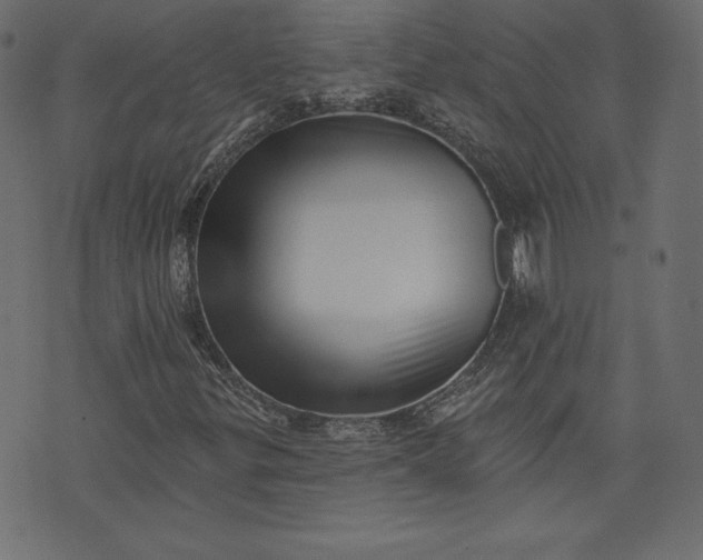 X0000073741299200608171256