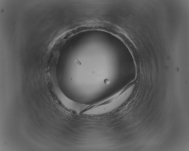 X0000073741304200608171256