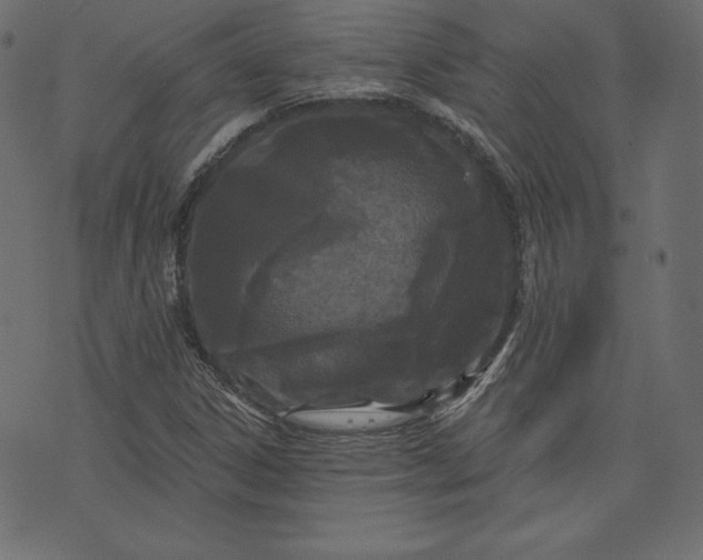 X0000073741306200608171256