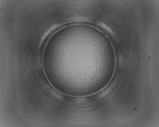 X0000073741310200608171256