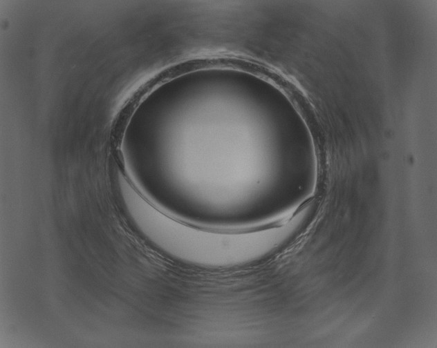 X0000073741311200608171256