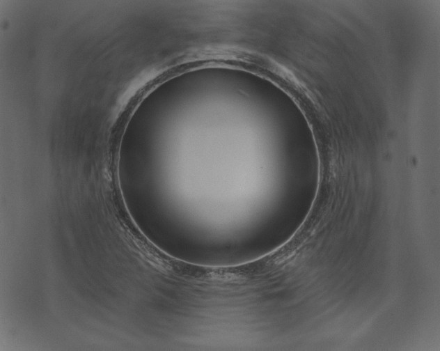 X0000073741312200608171256