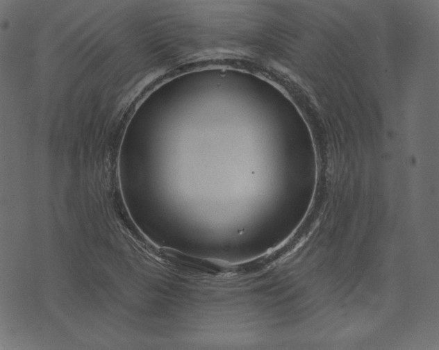 X0000073741313200608171256