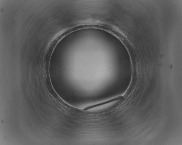 X0000073741315200608171256