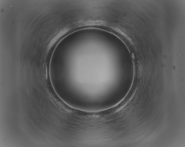 X0000073741317200608171256