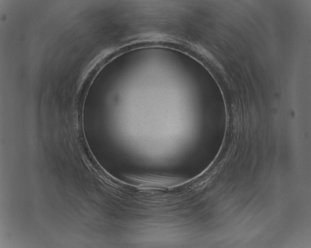 X0000073741318200608171256