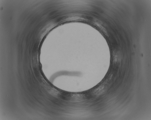 X0000073741322200608171256
