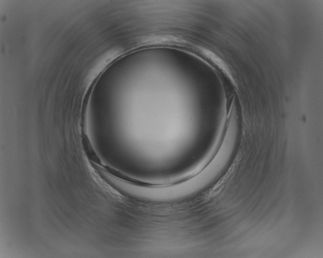 X0000073741330200608171256
