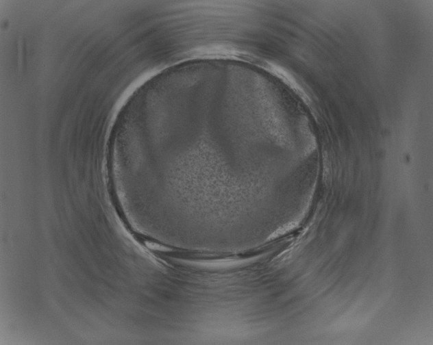 X0000073741331200608171256