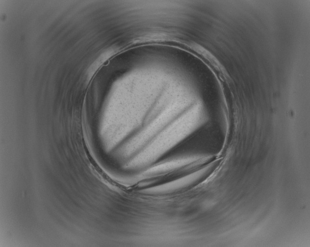 X0000073741337200608171256
