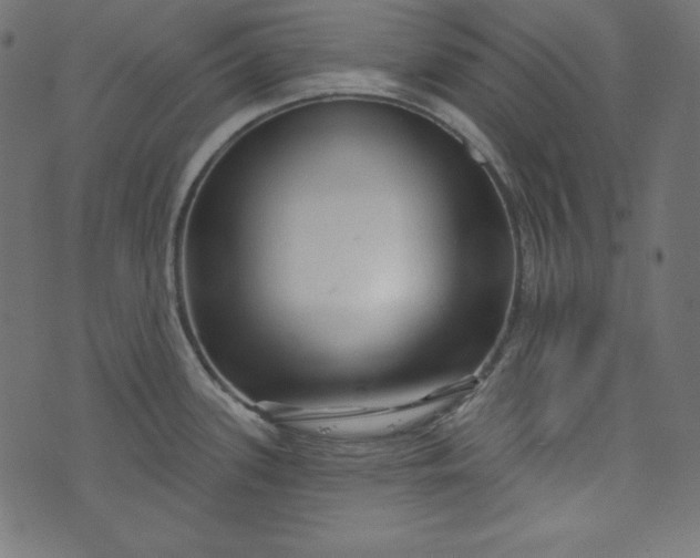 X0000073741339200608171256