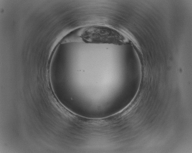 X0000073741340200608171256